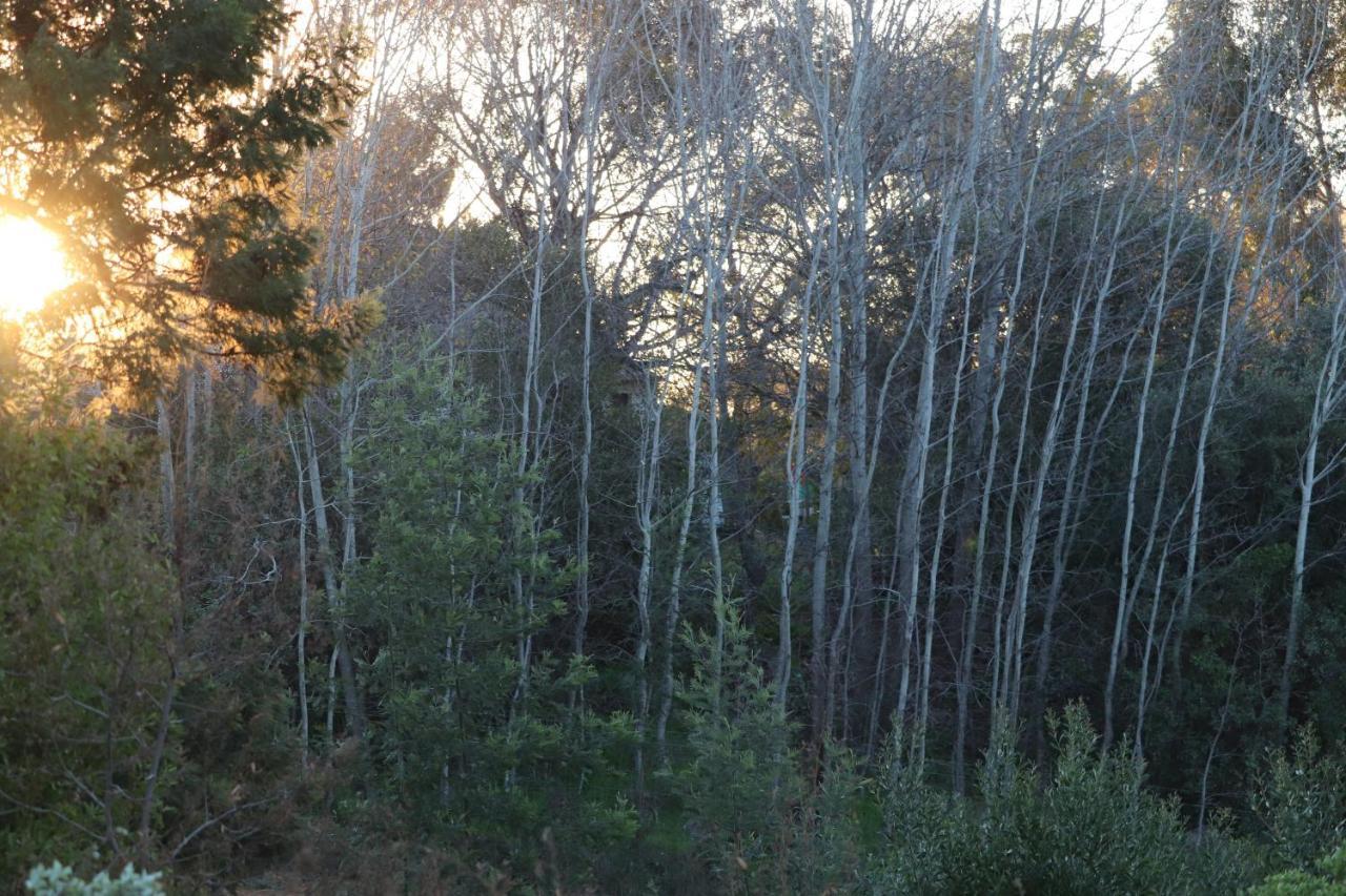 Готель Highlands Eco Estate Piketberg Екстер'єр фото